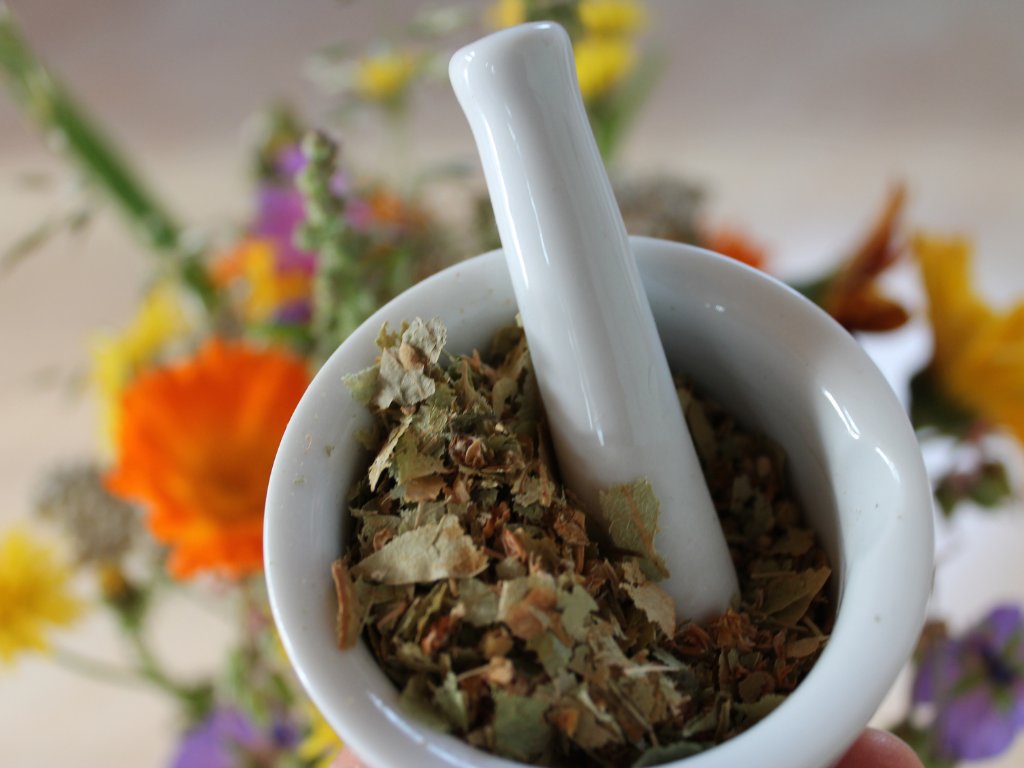 Ayurvedic Herbs